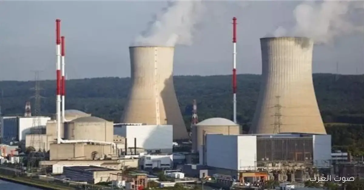 روس آتوم: 222 منشأة جديدة و1700 عامل مصري شغالين في مشروع الضبعة الكبير 2 روس آتوم: 222 منشأة جديدة و1700 عامل مصري شغالين في مشروع الضبعة الكبير