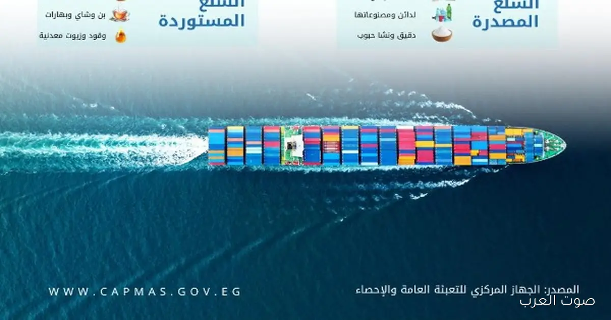 زيادة 7.6% في التجارة بين مصر ودول الاتحاد الإفريقي في 2024 2 زيادة 7.6% في التجارة بين مصر ودول الاتحاد الإفريقي في 2024