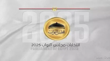 زيادة الإقبال على التصويت في انتخابات النواب بره مصر الهيئة