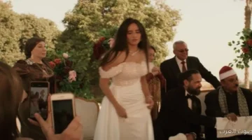 زينة بتحتفل بعروستين في نفس الوقت في مسلسل ورد وشوكولاته