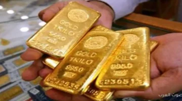 سعر سبيكة ذهب 10 جرام btc اليوم الاحد 23 نوفمبر 2025 في مصر داخل محلات الصاغة 33 سبائك