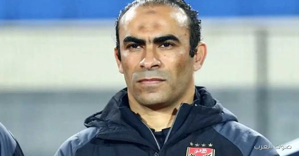 سعد شلبي: عبدالحفيظ له الحرية في اتخاذ قرارات للفريق من غير ما يرجع لمجلس الأهلي 2 سعد شلبي: عبدالحفيظ له الحرية في اتخاذ قرارات للفريق من غير ما يرجع لمجلس الأهلي