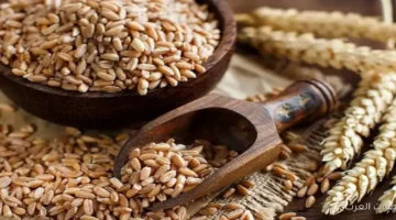 سعر الأرز الشعير اليوم 3