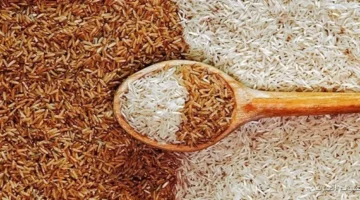 سعر الأرز الشعير اليوم