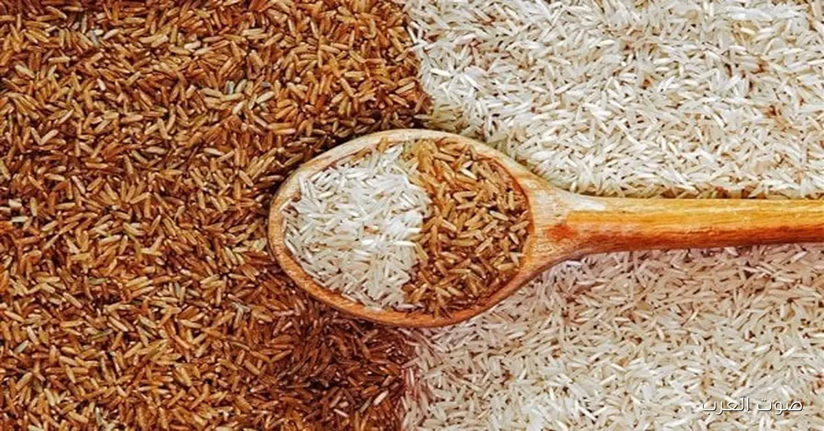 رفيع وعريض الحبة .. سعر الأرز الشعير اليوم الأحد 2025/11/23 في الأسواق المحلية