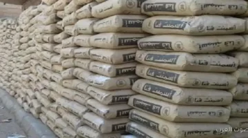 سعر طن الاسمنت اليوم الاثنين 17 نوفمبر 2025 .. أحدث مؤشرات سوق مواد البناء في مصر 36 سعر الاسمنت