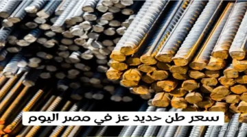 سعر الحديد 2