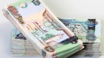 سعر الدرهم الإماراتي مقابل الجنيه المصري النهارده، الثلاثاء 18 نوفمبر