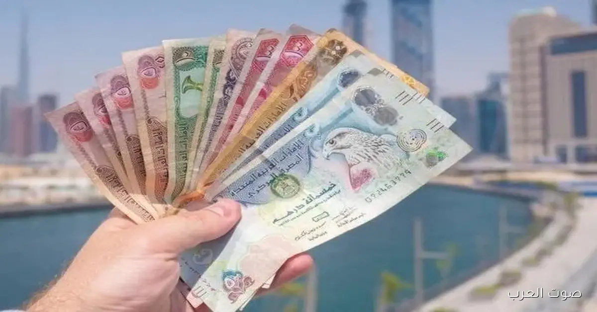 سعر الدرهم الإماراتي مقابل الجنيه المصري اليوم الأربعاء 26 نوفمبر 2025 2 سعر الدرهم الإماراتي مقابل الجنيه المصري اليوم الأربعاء 26 نوفمبر 2025