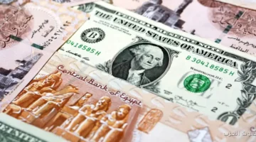 سعر الدولار 1 1