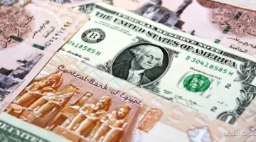 سعر الدولار اليوم
