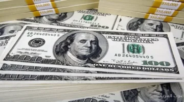 سعر الدولار في مصر دلوقتي