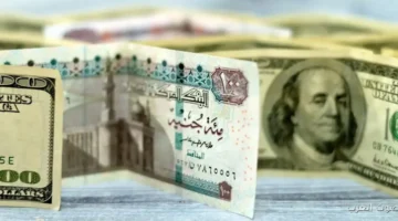 سعر الدولار في مصر مع بداية تعاملات صباح الأحد