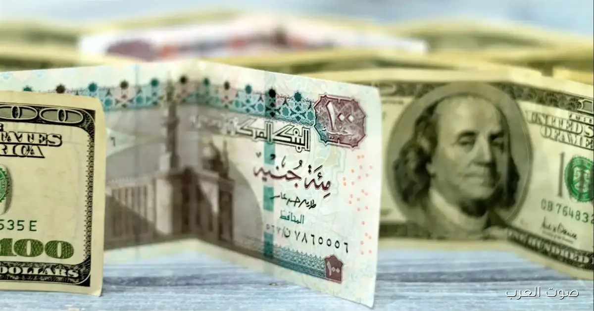سعر الدولار في مصر مع بداية تعاملات صباح الأحد