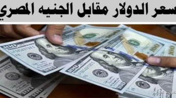سعر الدولار مقابل الجنيه المصري