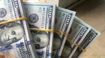 سعر الدولار مقابل الجنيه المصري اليوم الأحد في البنوك