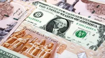 سعر الدولار مقابل الجنيه النهارده الأربعاء 5 نوفمبر 2025