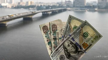 سعر الدولار مقابل الجنيه النهارده السبت 29 نوفمبر 2025