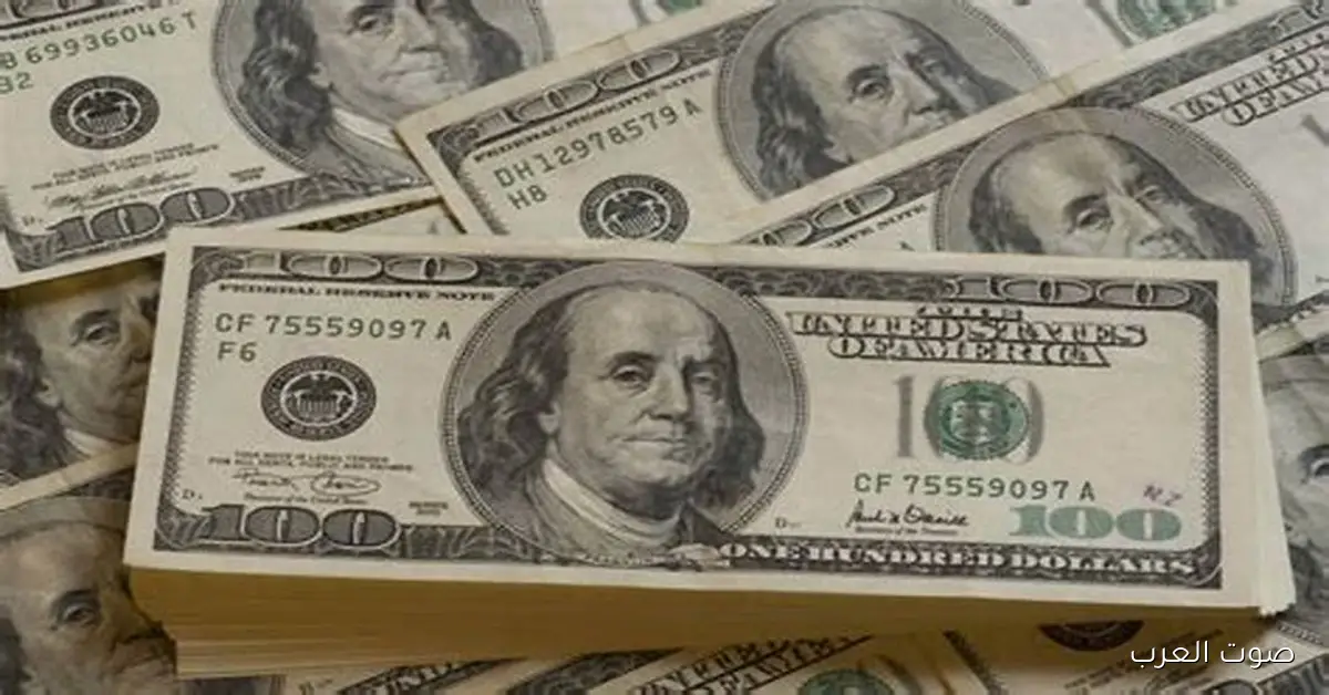 سعر الدولار مقابل الجنيه في السوق المصري اليوم الأحد 16 نوفمبر 2025