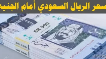 سعر الريال السعودي مقابل الجنية المصري اليوم