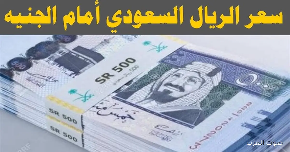 ارتفاع مفاجئ الآن .. سعر الريال السعودي مقابل الجنية المصري اليوم الثلاثاء 25-11-2025 لحظة بلحظة