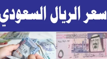 سعر الريال السعودي مقابل الجنيه المصري اليوم