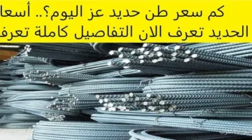 سعر حديد عز اليوم