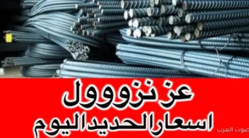 سعر طن الحديد اليوم حديد عز 1