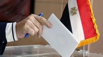 سفارات مصر في اليابان وكوريا تفتح باب التصويت للمصريين في