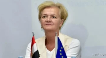 سفيرة الاتحاد الأوروبي تتكلم مع مساعد وزير الخارجية عن التعاون