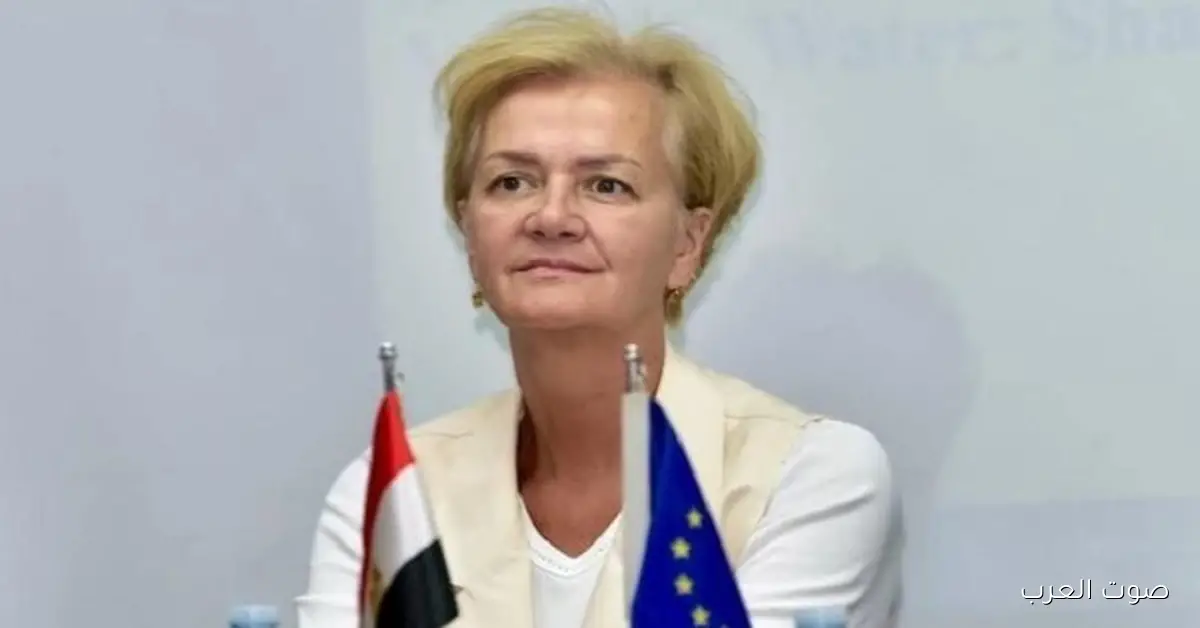 سفيرة الاتحاد الأوروبي: في برامج جديدة للتعاون العلمي بين مصر وأوروبا قريبًا