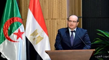 سيفي غريب شركات مصرية في الجزائر بتكون مثال للنجاح والاجتهاد