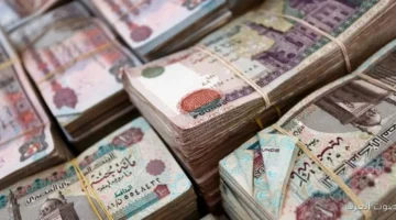 شركات التأمين تدفع لعملائها حوالي 35 مليار جنيه تعويضات في