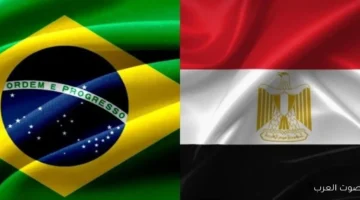 شركة برازيلية كبيرة بتبحث عن فرص لإنشاء مراكز بيانات في