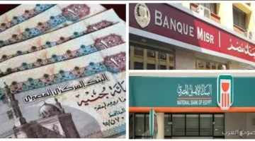 شهادات الادخار 2025