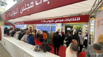 شوفوا الناس متزايدة في وسط البلد عشان تصوت