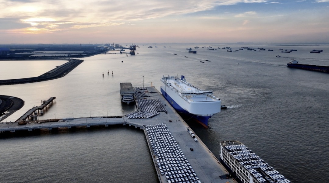 شيري تحقق مبيعات كبيرة وعدد مستخدميها يتخطى 18 مليون حول