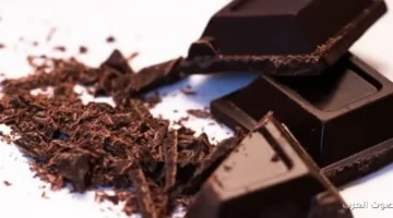 صادرات الشوكولاتة المصرية تحقق رقم قياسي 166 مليون دولار في