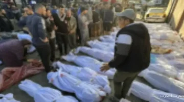 صحة غزة حصيلة ضحايا الحرب وصلت لـ280 شهيد و672 مصاب