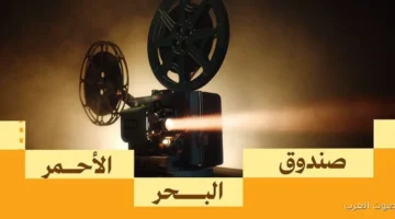 صندوق البحر الأحمر وفيلم العلا يحتفلوا بـ10 أفلام مميزة من