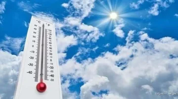 طقس خريفي دافئ نهارًا مع توقعات لشبورة كثيفة صباح الأحد وفقًا لتقارير الأرصاد الجوية 3 طقس خريفي دافئ نهارًا مع توقعات لشبورة كثيفة صباح الأحد