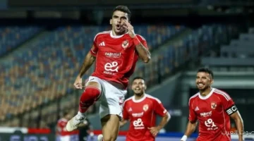 طلب مهم من الأهلي قبل مواجهة شبيبة القبائل في دوري