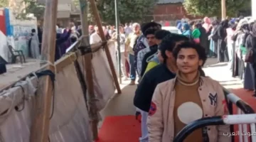 طوابير الناخبين قدام لجان مصر القديمة والمنيل صور