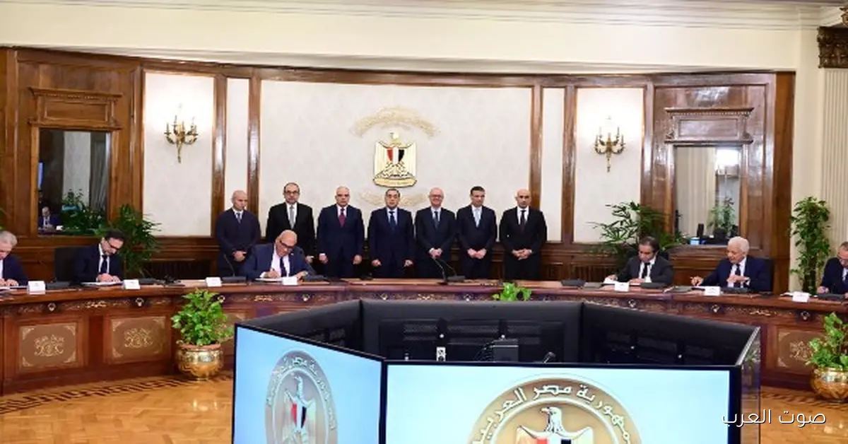 عبد اللطيف: المدارس التكنولوجية التطبيقية خطوة مهمة لتطوير مهارات الشباب في سوق الشغل 2 عبد اللطيف: المدارس التكنولوجية التطبيقية خطوة مهمة لتطوير مهارات الشباب في سوق الشغل