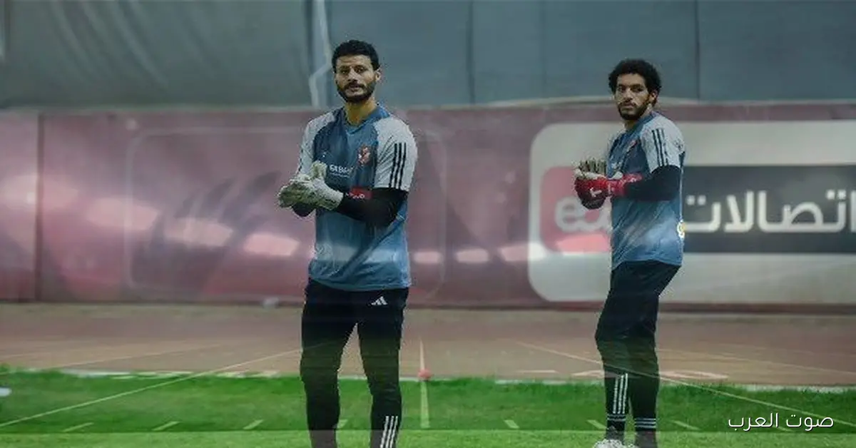 عمر رضوان: الشناوي محبوب عند جمهور الأهلي وشوبير مظلوم