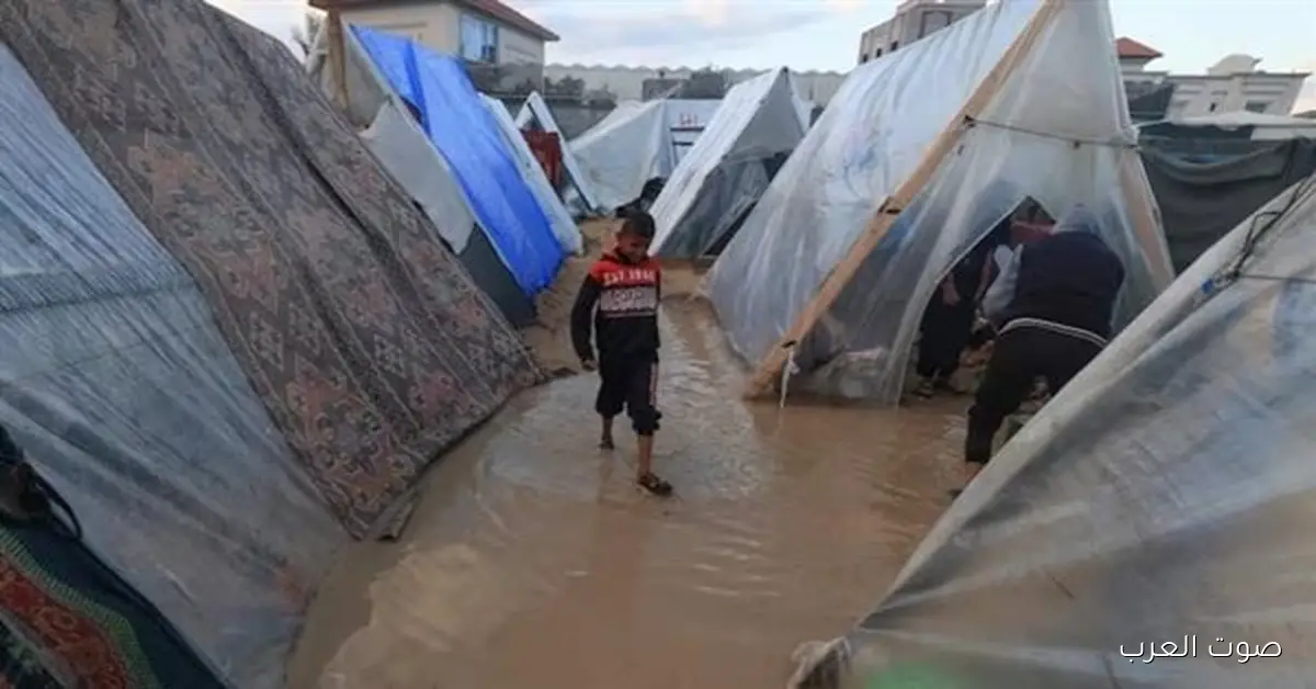 غزة بتعاني من مأساة طبية مستمرة في الإغاثة