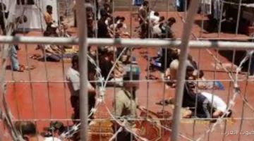 فتح أسرانا بيواجهوا نظام قتل وتعذيب بيخلي القيم الإنسانية بلا