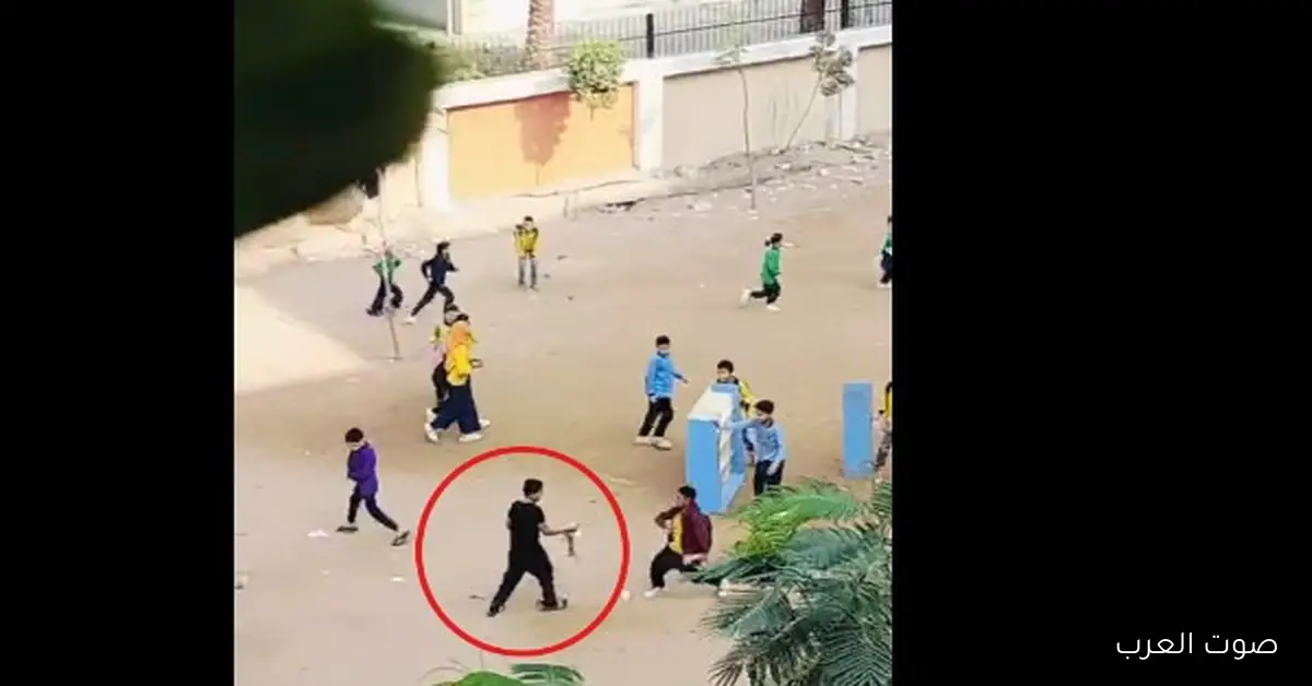فصل 4 طلاب من مدرسة في الهرم والمدير اتعاقب بسبب “قطة ميتة” | إيه اللي حصل؟