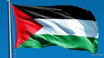 فلسطين تفرح بالقرار الدولي عن غزة مستعدين للتنفيذ ومتحملين المسؤولية