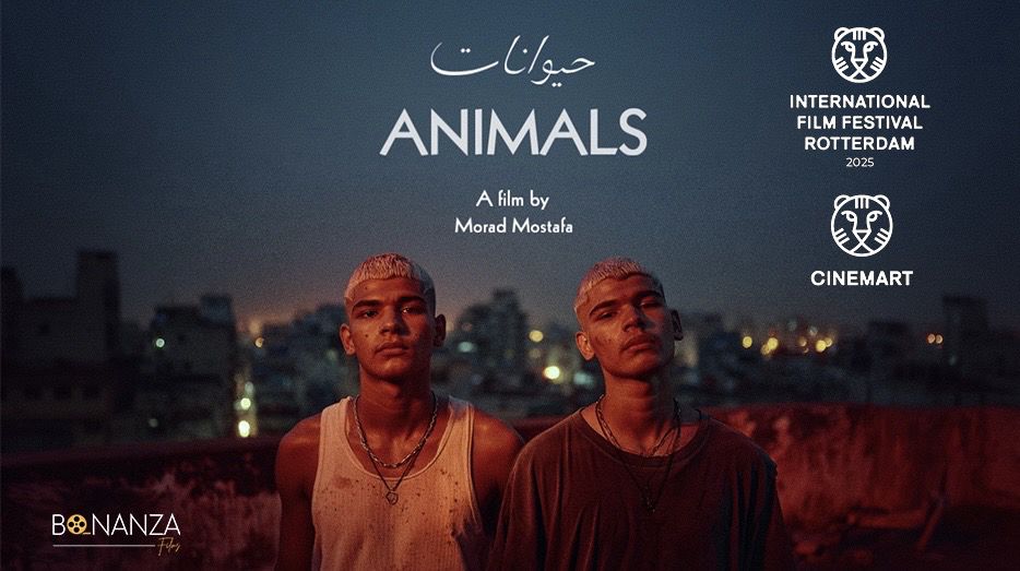 فيلم حيوانات يتشارك في مهرجان روتردام السينمائي بسيني مارت 2 فيلم حيوانات للمخرج مراد مصطفى